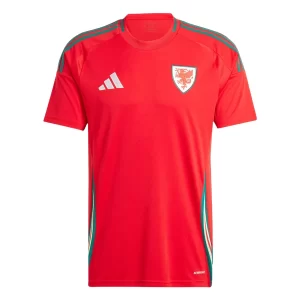 Wales Thuisshirt 2024 Voetbalshirts Korte Mouw